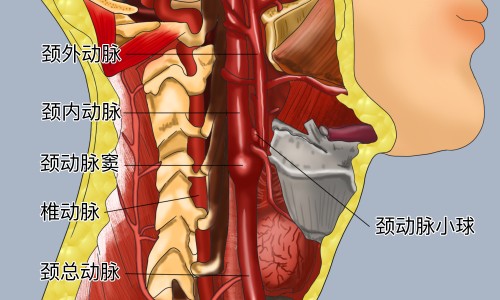 乳宁颗粒功效和作用-乳宁颗粒的价格是多少钱网-分享乳宁颗粒和乳宁片有什么区别，乳宁合剂知识库